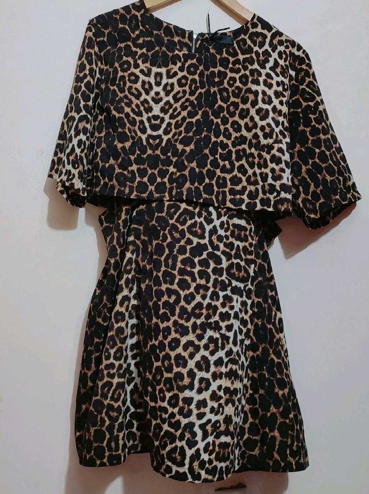 Brown Lion Printed Dress For 36 Bust