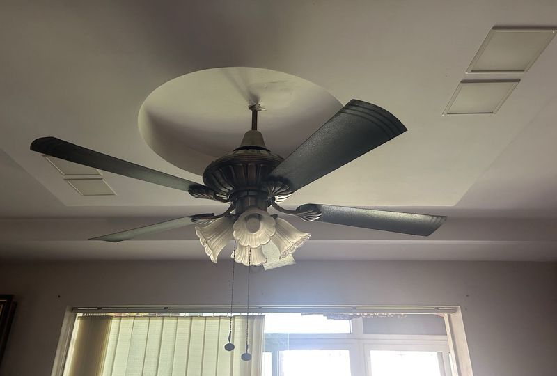 Used Decorative Ceiling Fan