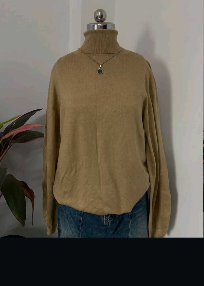 Elegant Turtleneck Sweater