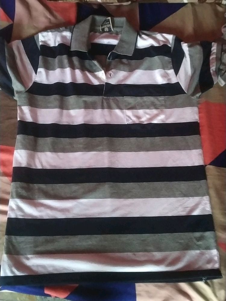 Maxcity T Shirt Brand