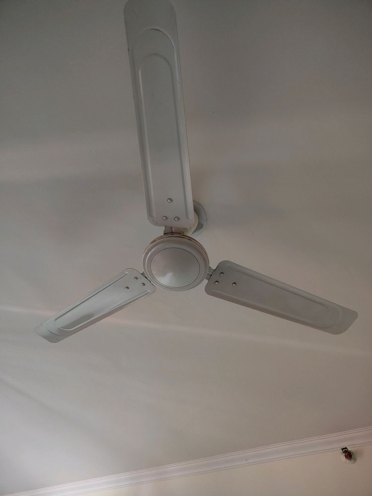 Ceiling Fan Usha 1200mm White