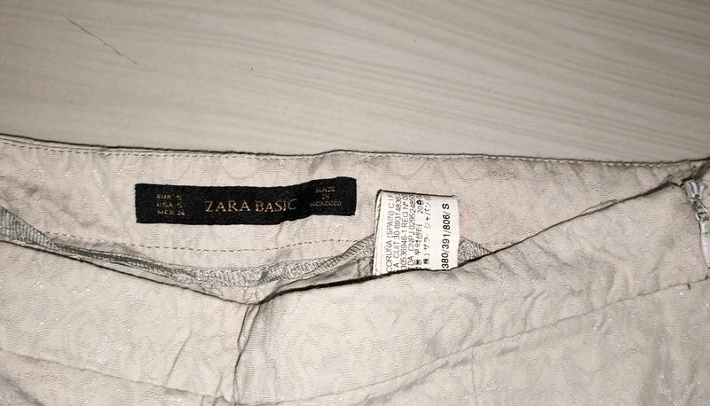Zara Basic Skirt