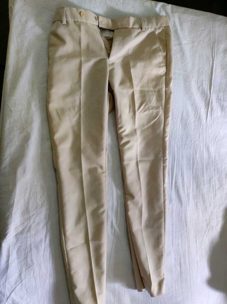 Beige Slim Fit Pants