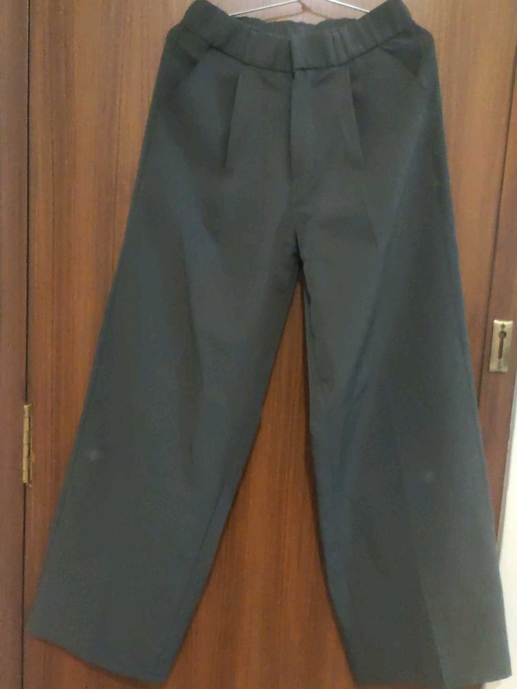 Wide Leg Dress Pants