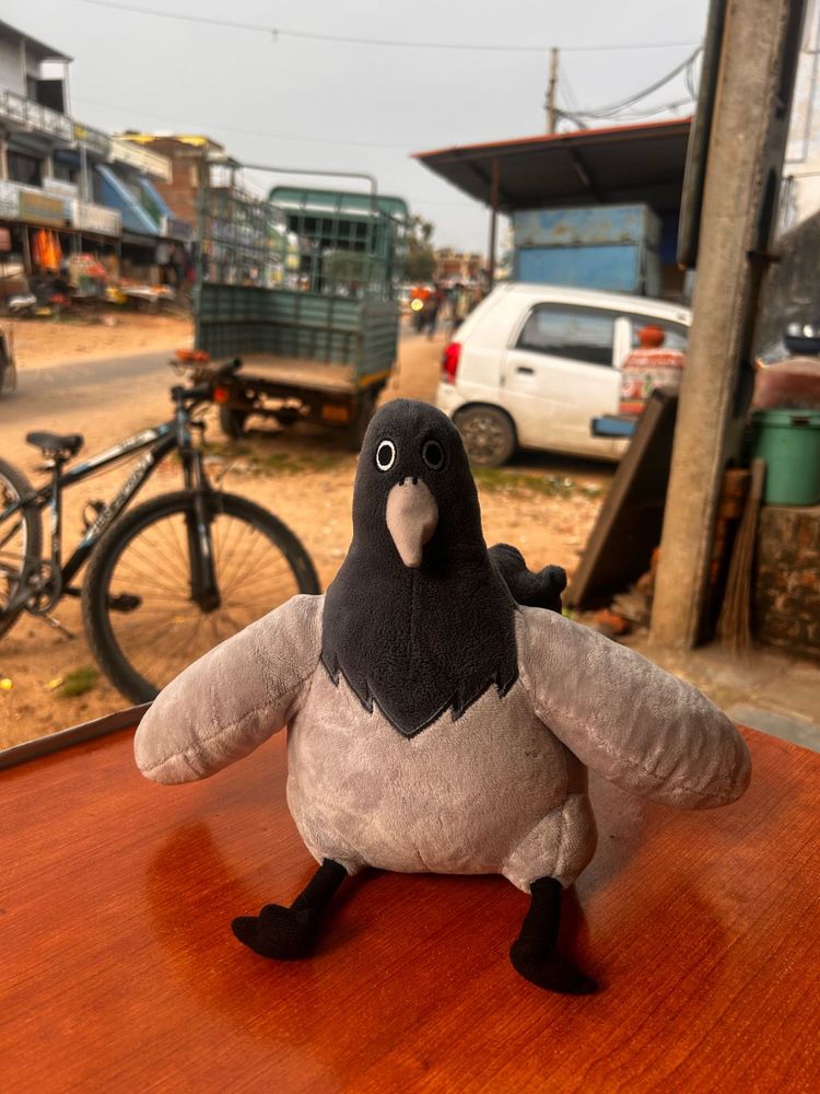 Official Beast Friends Jjaltoon Saedaegal Pigeon