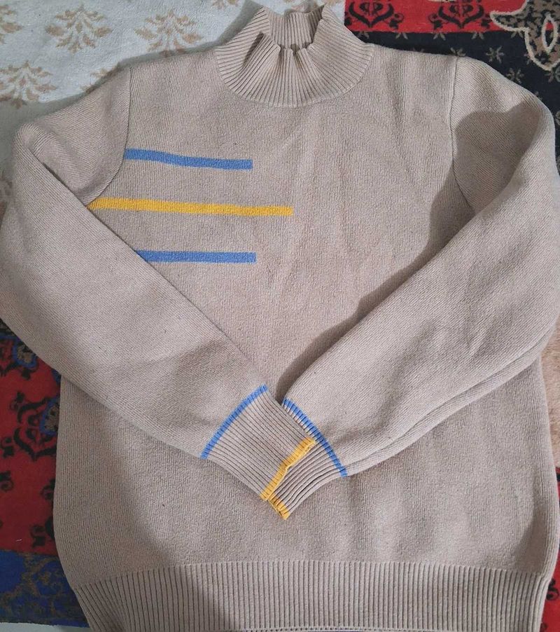 Stylish Turtleneck Sweater