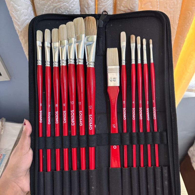 🎨 Solimo 13-Piece Oil Paint Brush Set + Premium C