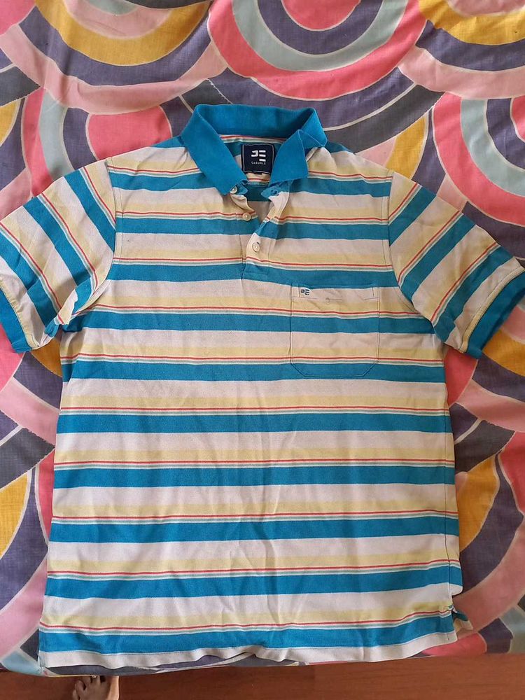 Striped Polo Shirt