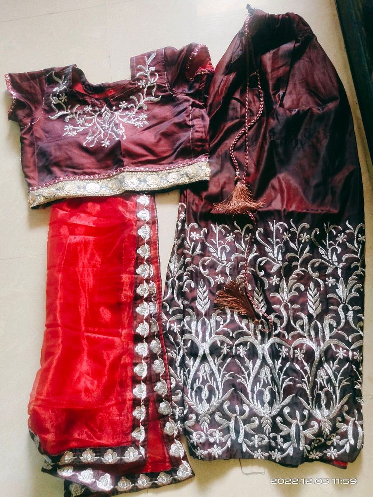 Embroidered Lehenga Choli Set