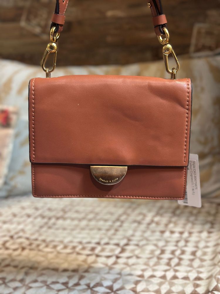 Charles &amp; Keith Metallic Accent Push Lock Bag New