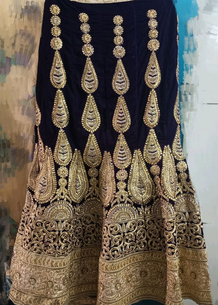 Embroidered Velvet Lehenga Skirt