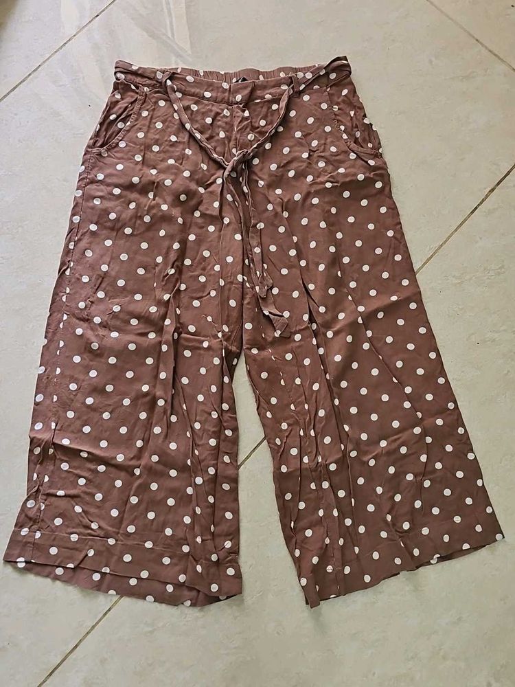 Fig Plazo Pant