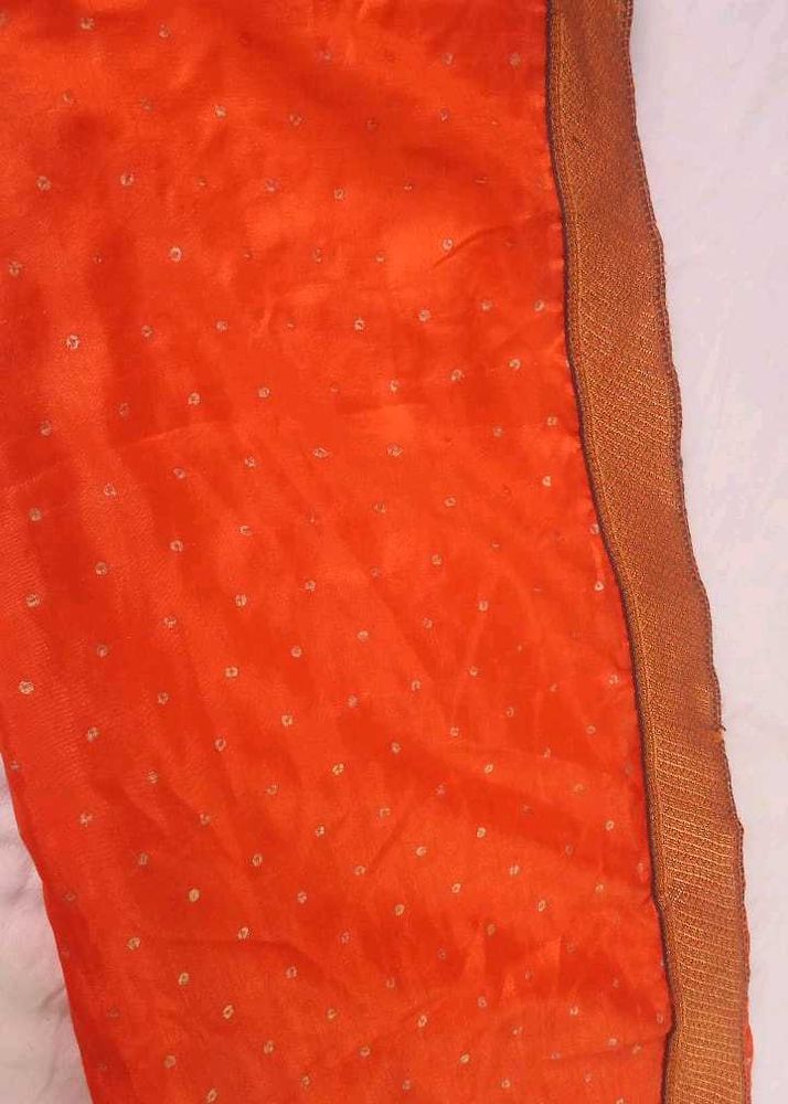 Orange Saree with Embellishments