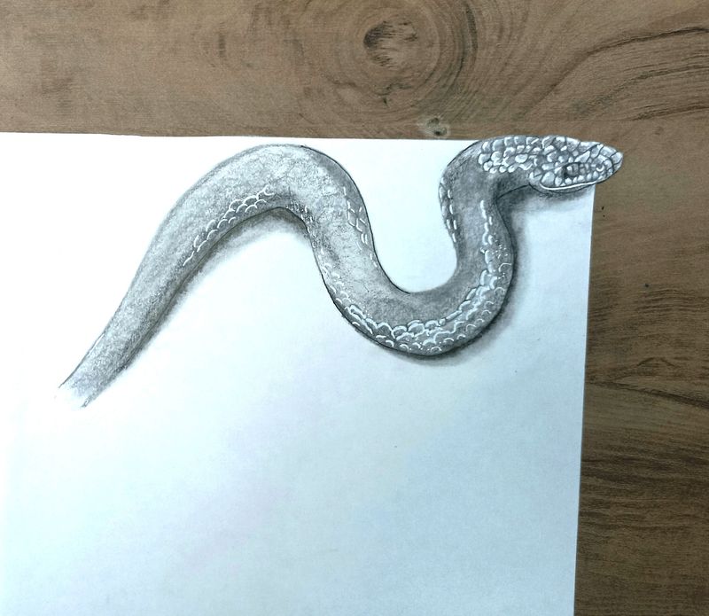 3D SNAKE DRAWING WITH PENCIL