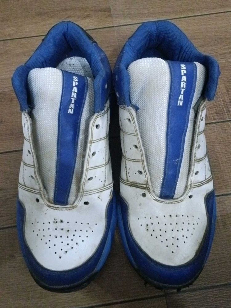 Vintage Spartan Sport Shoes