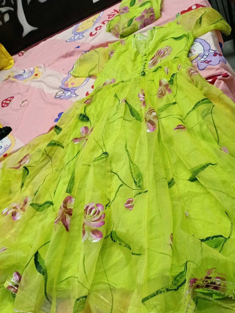 light green anarkali suit set