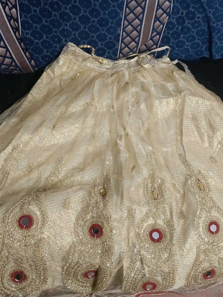 Elegant Embroidered Ethnic Skirt