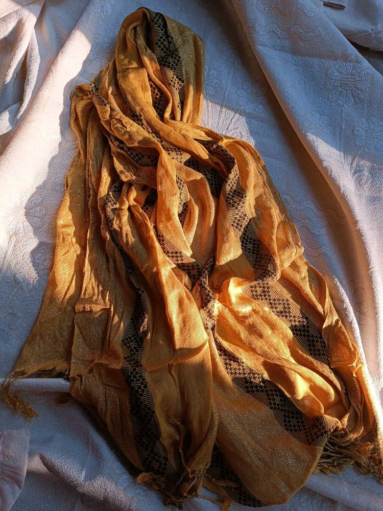 Elegant Golden color Scarf