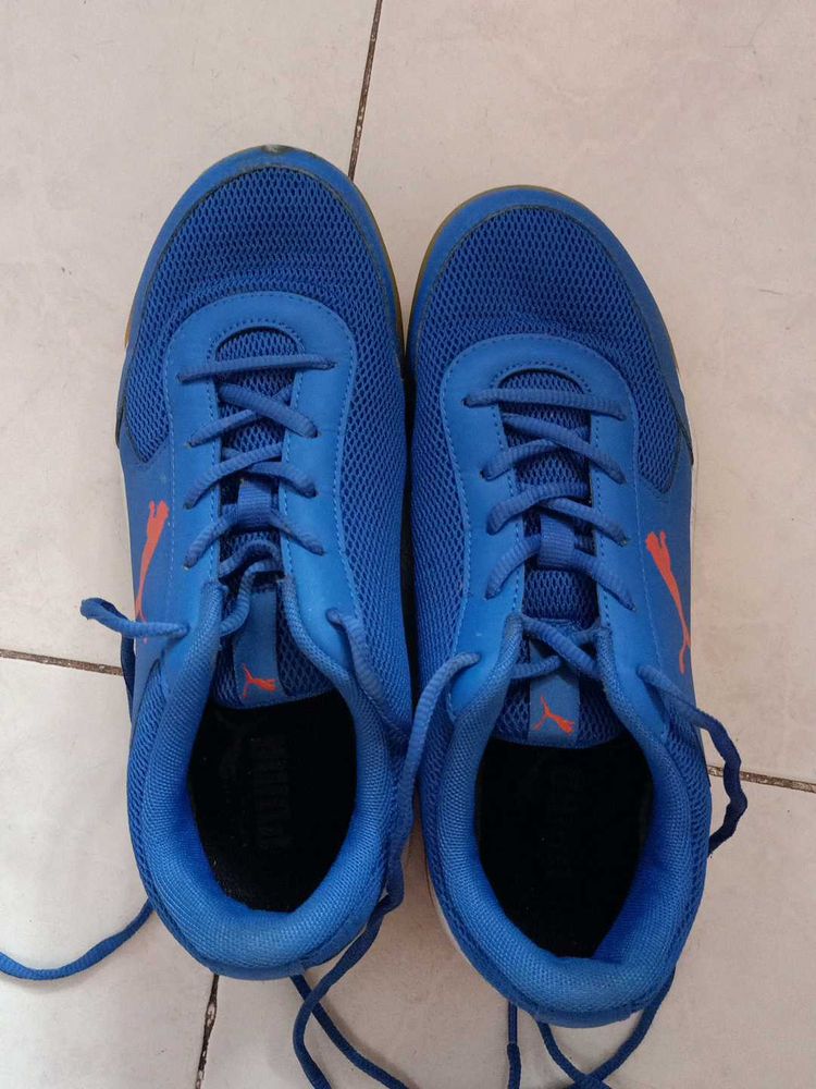 PUMA Blue Badminton Shoes