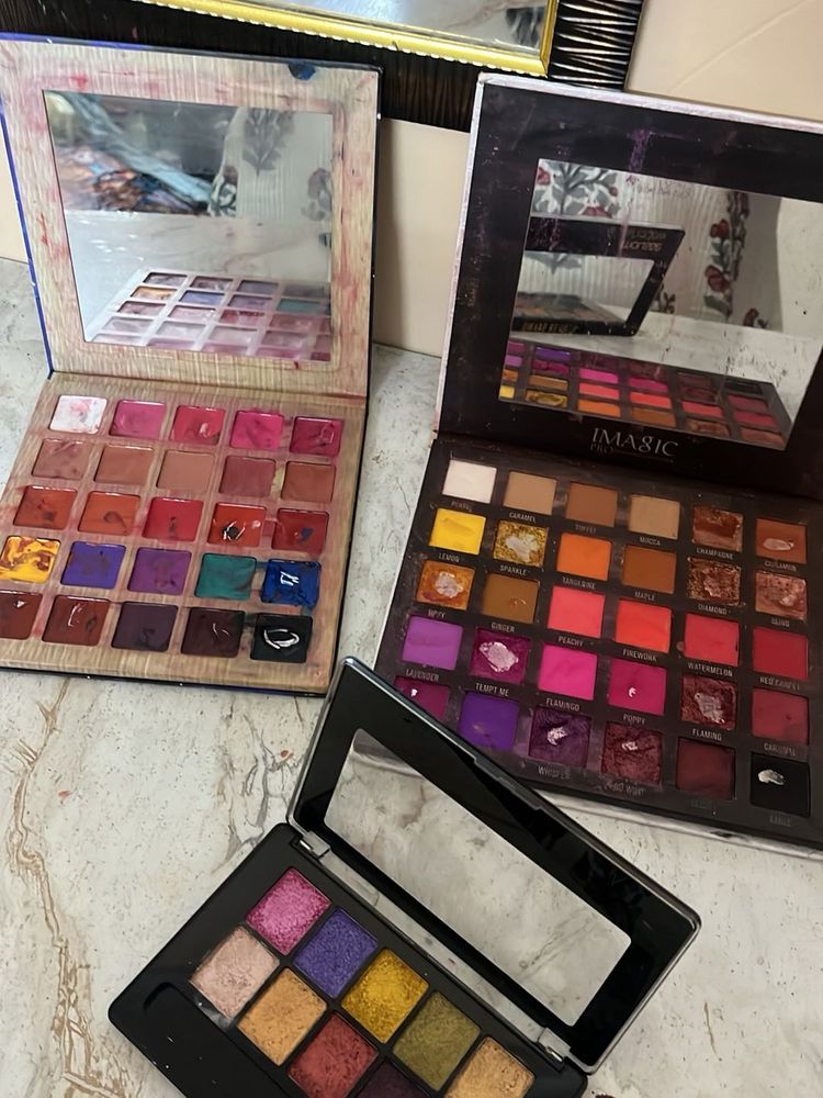 imagic eye shadow  delanci lip pallete