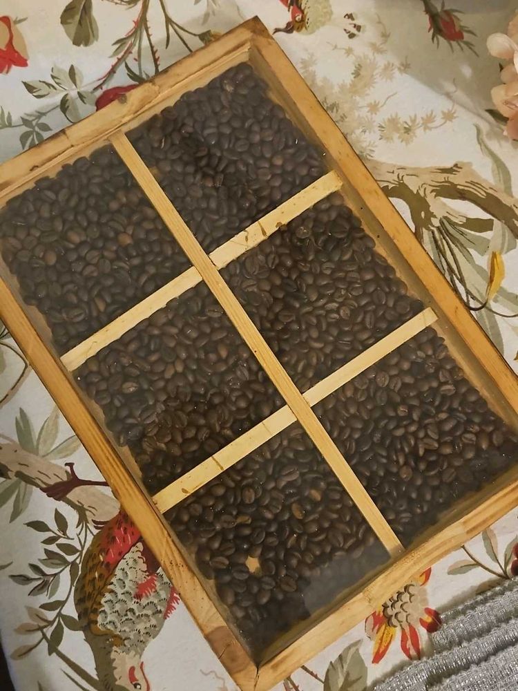 Coffee Bean TRAY