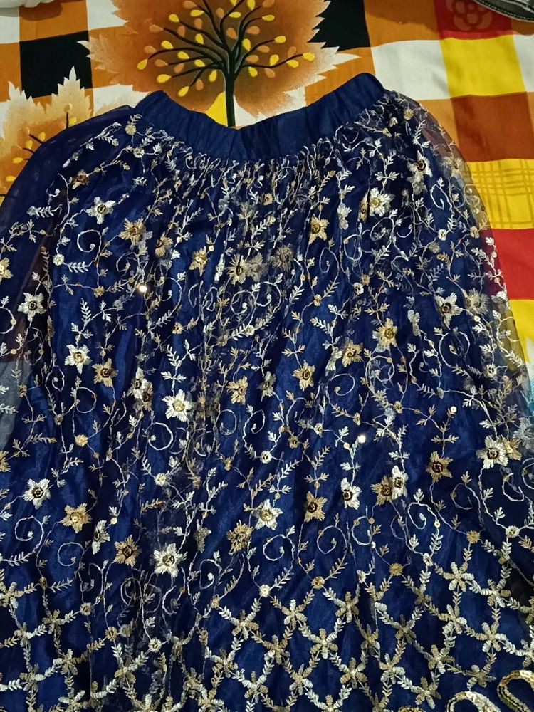 Navy blue Lehenga Gold Zari