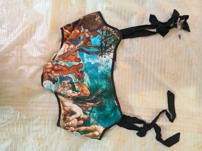 Renaissance print beautiful corset