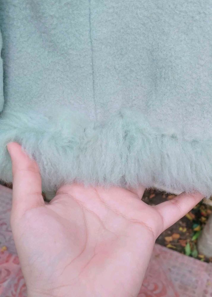 Stylish fur coat