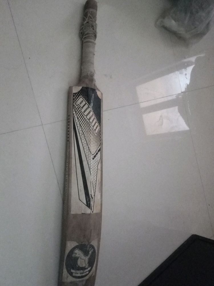 Bat