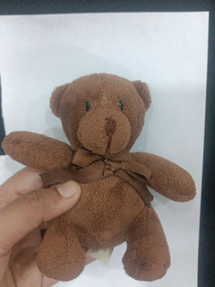New Brownie Brown smallu Teddy in lowest price