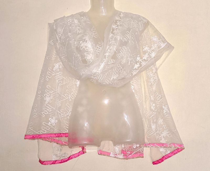 Beautiful Embroidery Work Net Dupatta