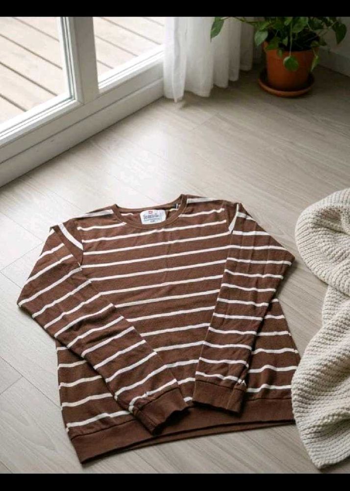 Striped Brown T-Shirt for men (L)