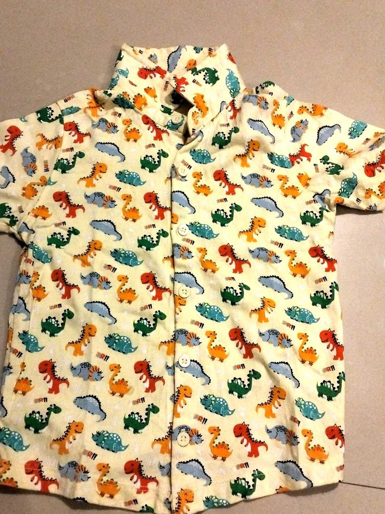Cute Dinosaur Shirt (2-3 Years)