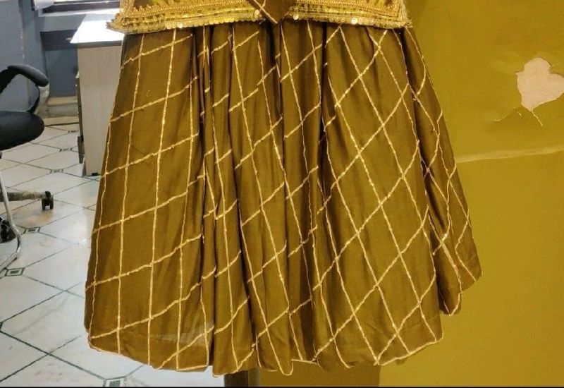 Elegant Ethnic Skirt