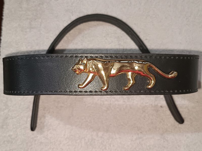 Sabyasachi Inspired Belt