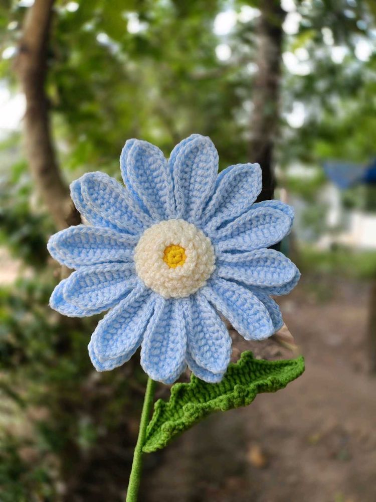 Gerbera flower