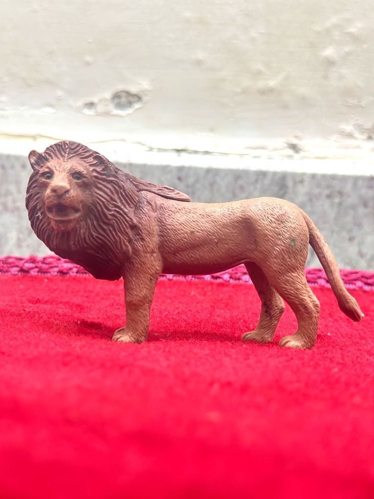 Kids Lion