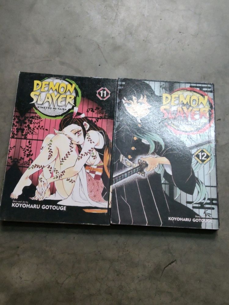 demon slayer volume 11&amp;12
