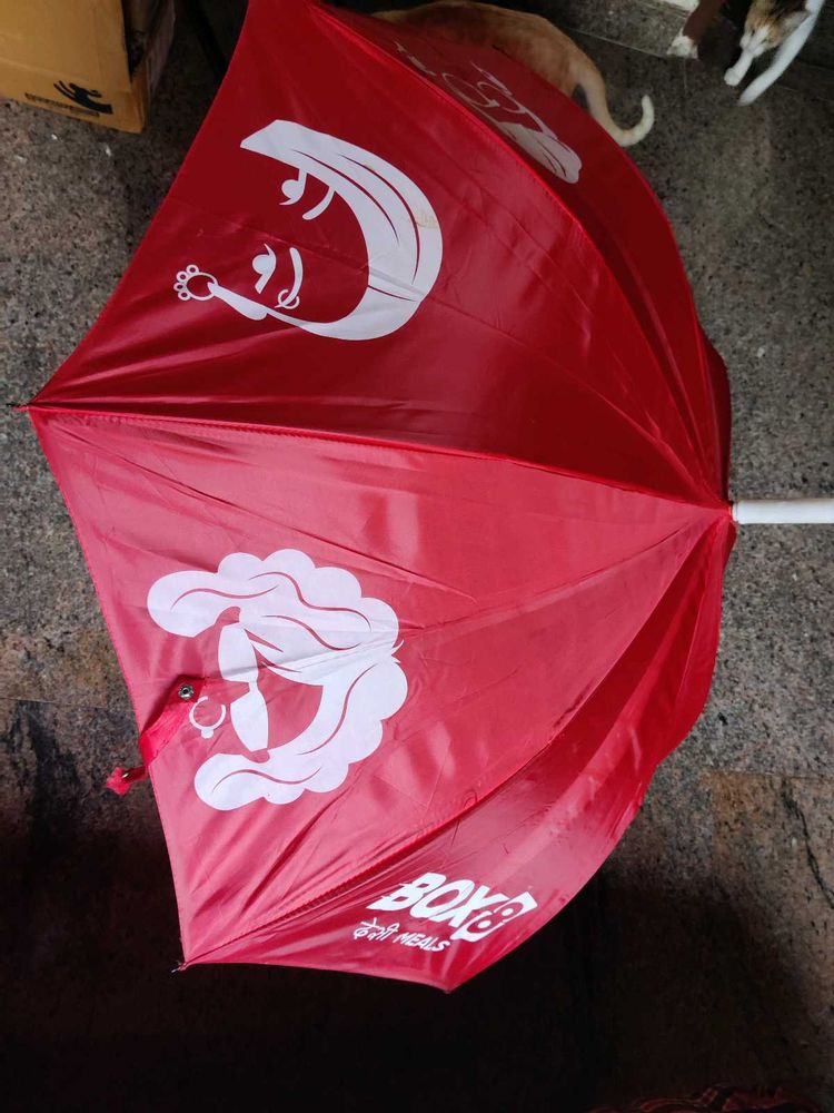 Red Umbrella (Box8 )