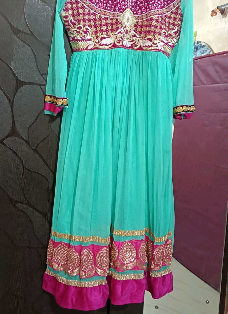 Elegant Ethnic Dress