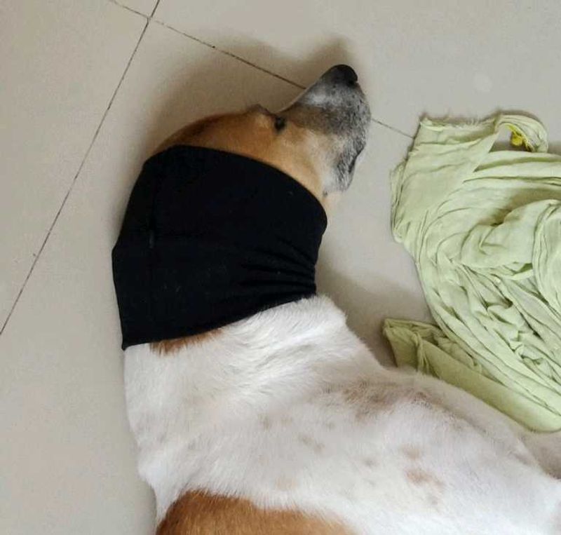 Anti-Anxiety Muff - Snood