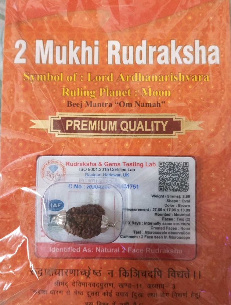 2 Mukhi Rudraksha Pendant