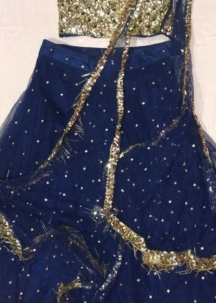 Sequin Embellished Lehenga Choli