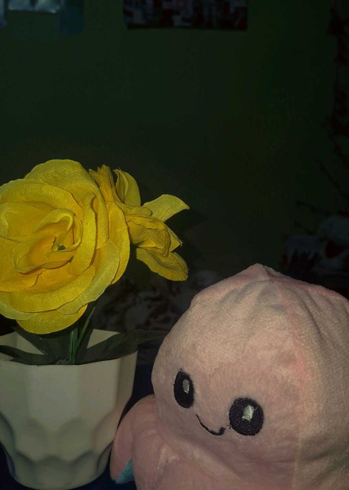 Reversible Octopus Plushie And Flower Vase