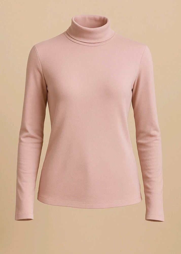 Turtle Neck Top