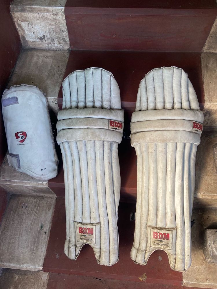 Cricket Guards