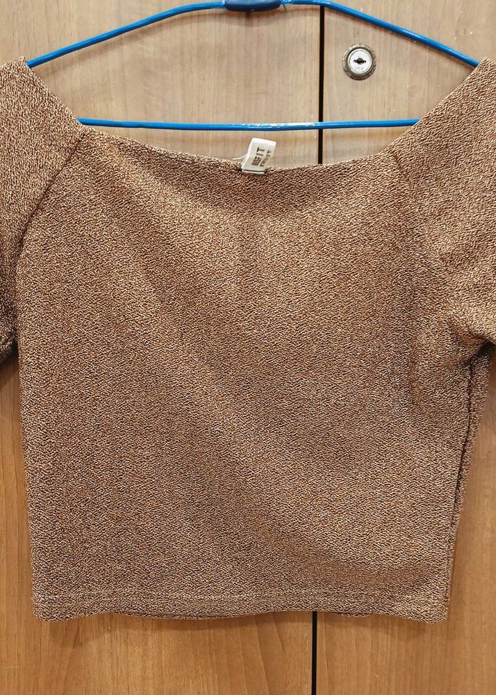 Glittery Crop Top