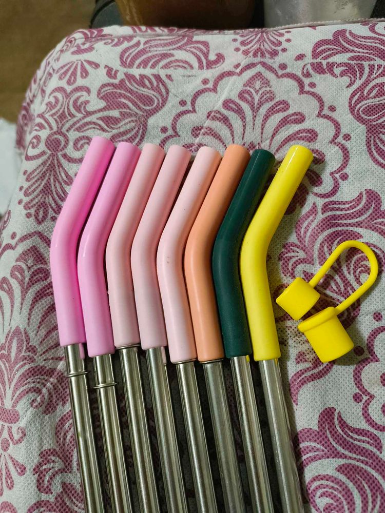 House Of Quirk Stainless Steel Straw With Cap