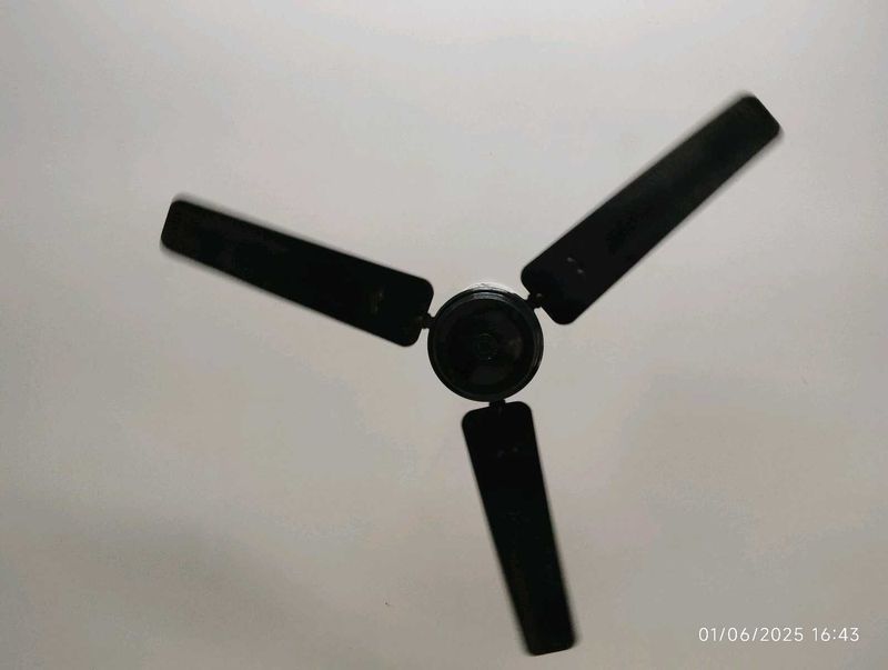 Ceiling Fan