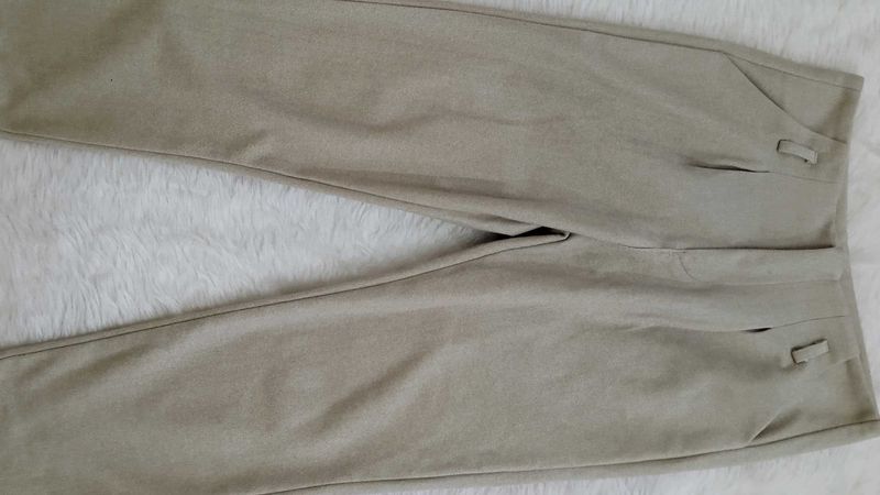 Beige Classic/ Casual Pants